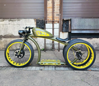 Custom Electric Bike